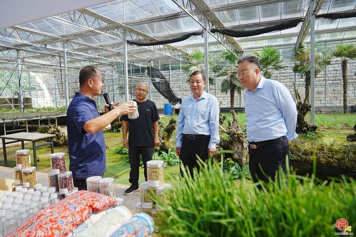 昔日荒山变身“百草园” 扁鹊故里崛起中医药产业融合园区