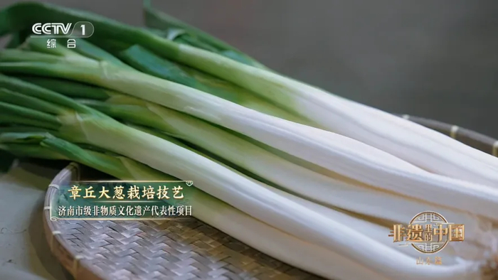 好客山东美食争霸赛，明星来助力！看看他们在鲁A都吃了啥?