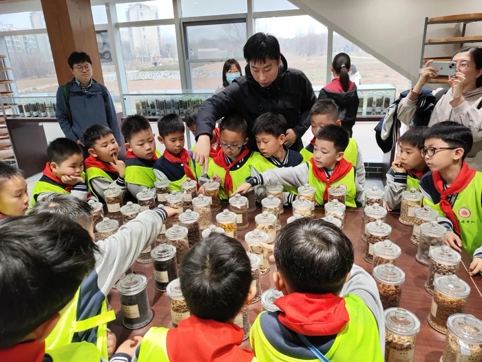 春播药苗，以劳为美！经五路小学开展药苗种植活动