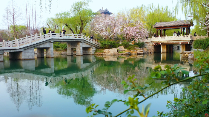 人间最美四月天 遇见泉城春色