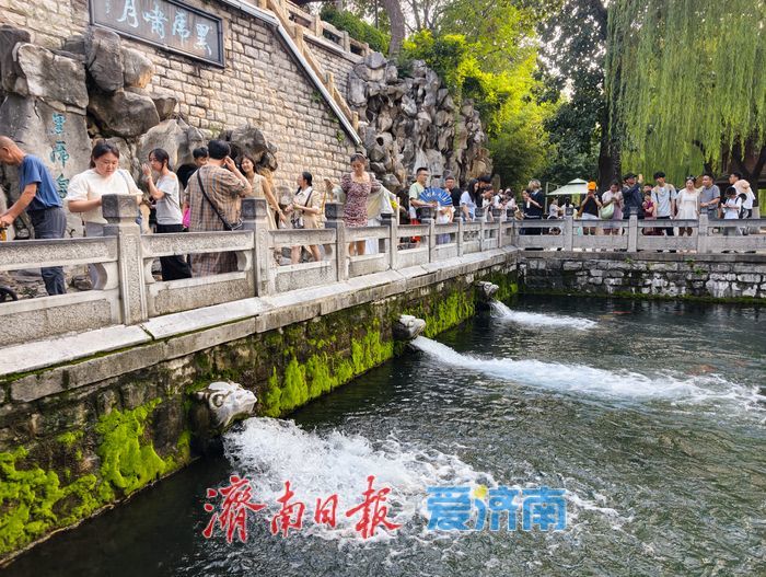 一年四季 泉在济南丨泉涌势头强劲！趵突泉、黑虎泉水位同比显著抬升