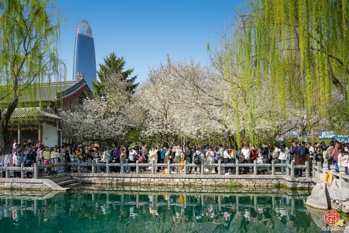 就在3月21日本周六！第23届五龙潭樱花节即将浪漫启幕