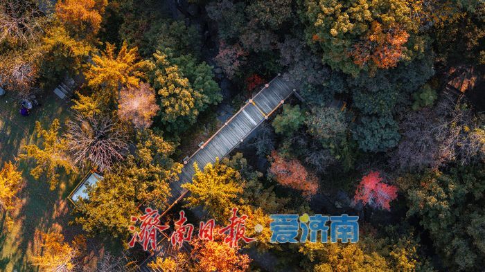 济南九如山：秋日斑斓如诗画，手工体验让秋天 “触手可得”
