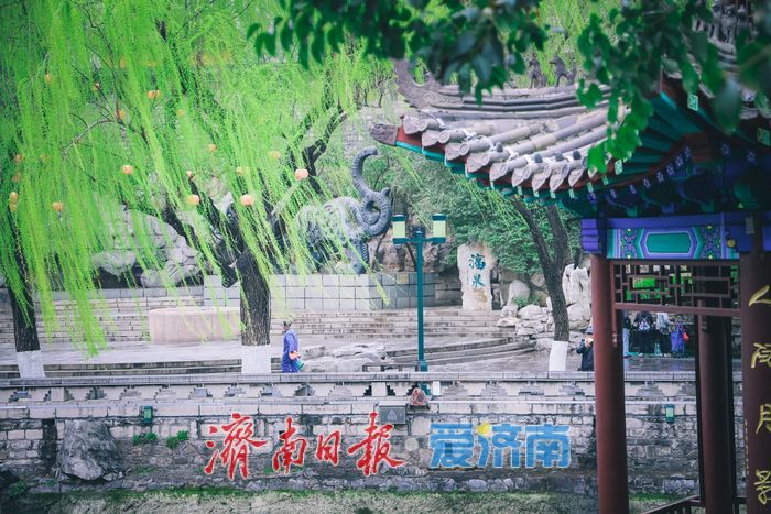 一年四季 泉在济南｜丹青绘泉水 雨后景更幽