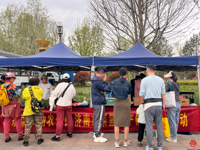 限定甜瓜季！“泉水人家”携手章丘农产“合伙人”送新鲜上门