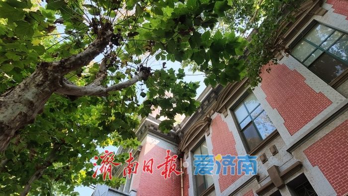 美城美文｜季羡林的青春记忆 一半是烟火一半是书香