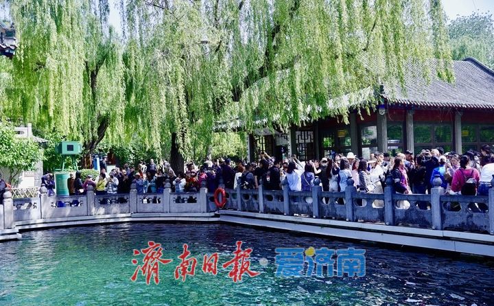 一年四季 泉在济南丨谷雨时节春将尽 趵突泉畔客流涌