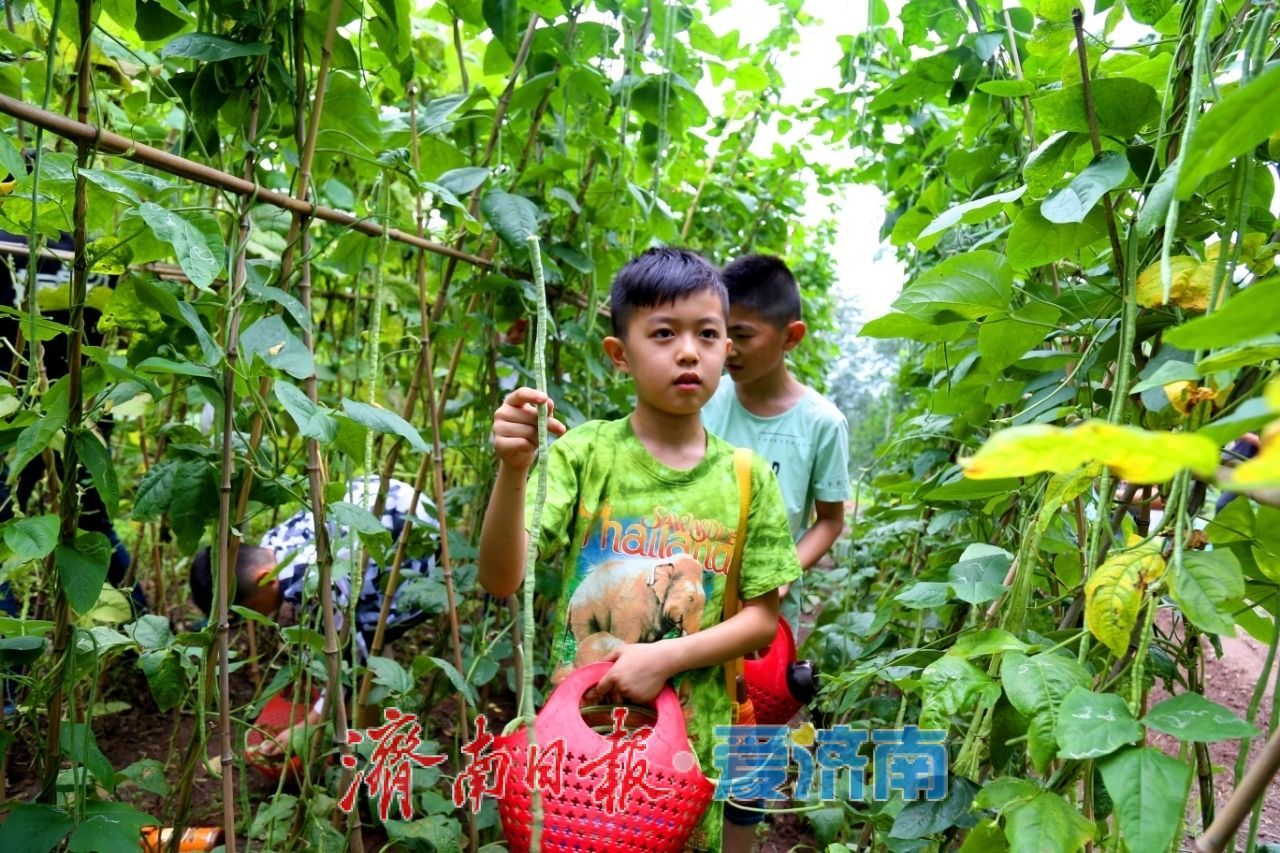 @爸爸们 父亲节当天免费游红叶谷，女性亲属还有半价优惠呦！
