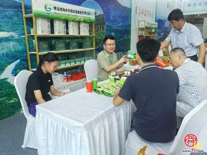 700家品牌茶企齐聚泉城 2024济南国际茶博会开幕