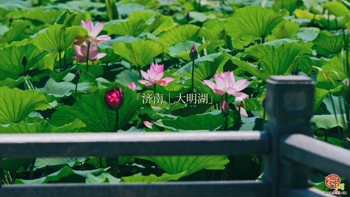 乘着地铁逛历下——赴一场历下之约