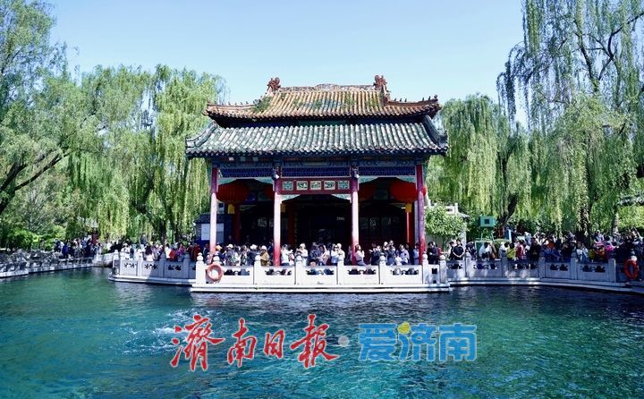 一年四季 泉在济南丨谷雨时节春将尽 趵突泉畔客流涌