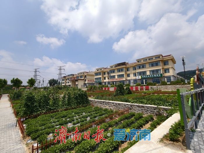 共享菜园激活城乡共生新图景