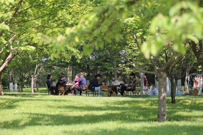 野餐、派对、音乐会……来济南吧，享受“草坪自由”