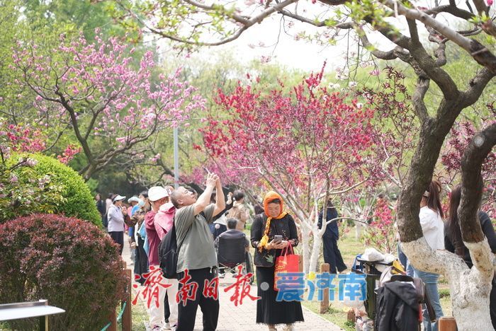 泉城春色醉游人 户外休闲享春光