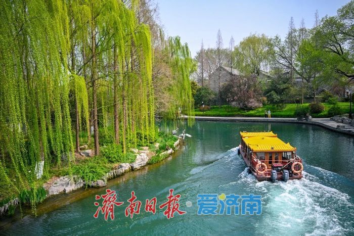 历下海棠花开！这些宝藏地赏花正当时