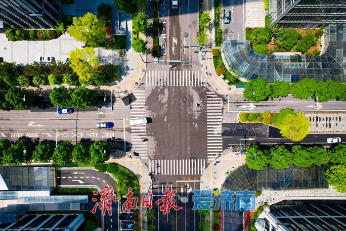 楼宇为框 春色入画