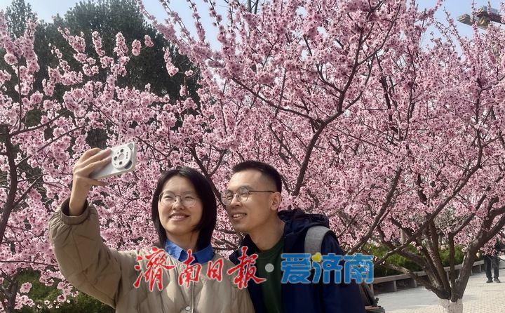 高校校园春意浓 花海引客醉其中