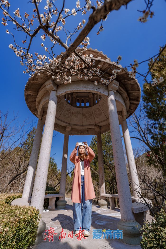 万株梅花次第开，红叶谷第18届梅花节诗意启幕