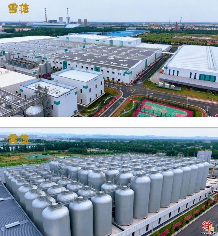 畅享泉城夏夜 点燃消费激情——雪花2025章丘啤酒节盛大启幕