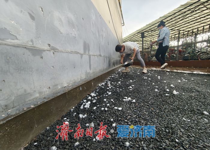 昨日济南市莱芜区突降冰雹 部分小区车辆受损