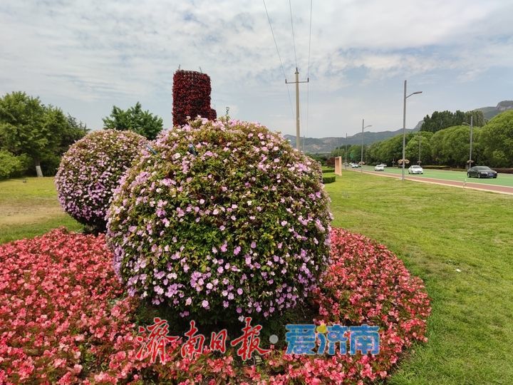 一年四季 泉在济南丨环湖路化身 “花廊” 引客打卡留影