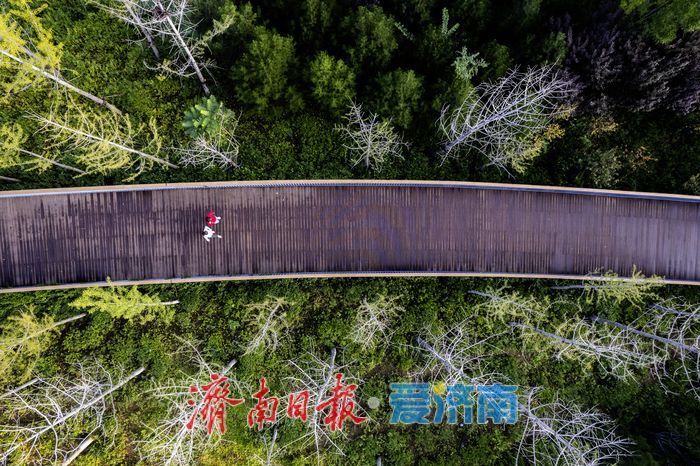 秋色斑斓，活力盎然