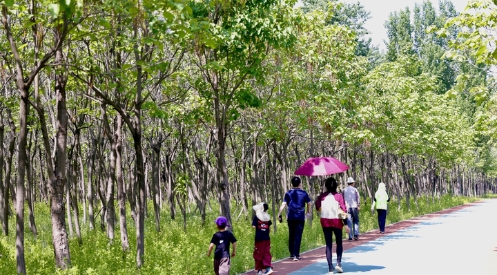 去济西湿地体验含“绿”量百分百的旅行