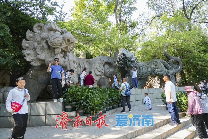 一年四季 泉在济南｜环城公园双虎雕塑成亲子打卡“新宠”