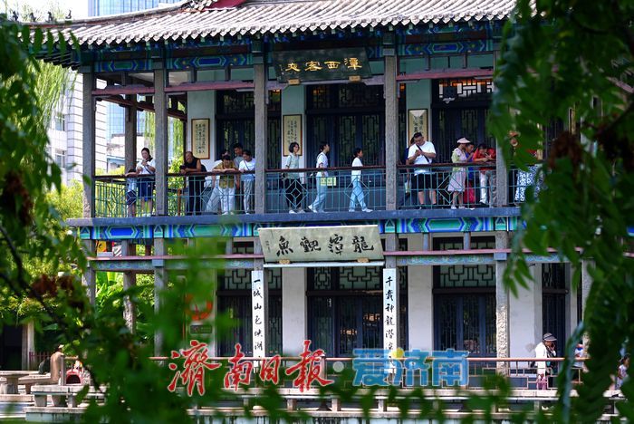 泉涌潺潺迎处暑 五龙潭畔游人乐