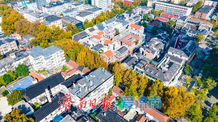 树影婆娑间，邂逅济南最温柔的秋天