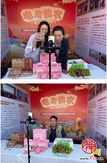 济南市2025年中国农民丰收节：以多元形式展学用贯通培育硕果，绘乡村振兴新图景