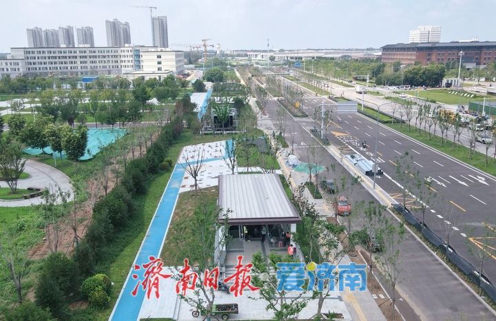 项目强省会｜青岛路西首将恢复双向通行，高校南北校园“牵手”