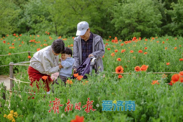 一年四季 泉在济南丨泉城春日 “调色盘” 上新！济南森林公园百花齐放，斑斓色彩扮靓天然氧吧