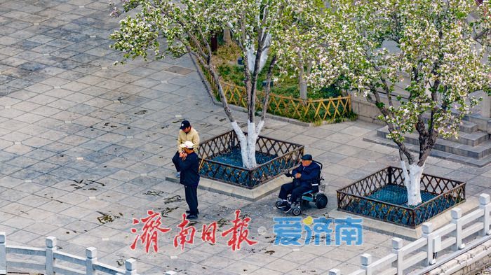 海棠盈香绕古亭 春韵满城醉明湖