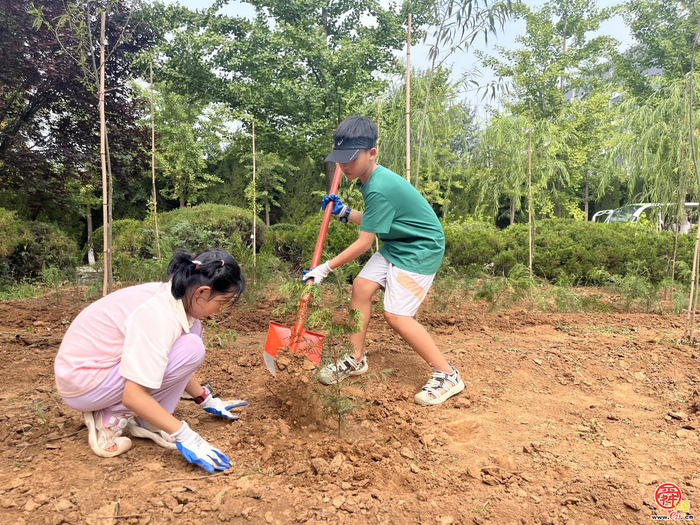 济南市首期“全民义务植树+古树研学”活动成功举办