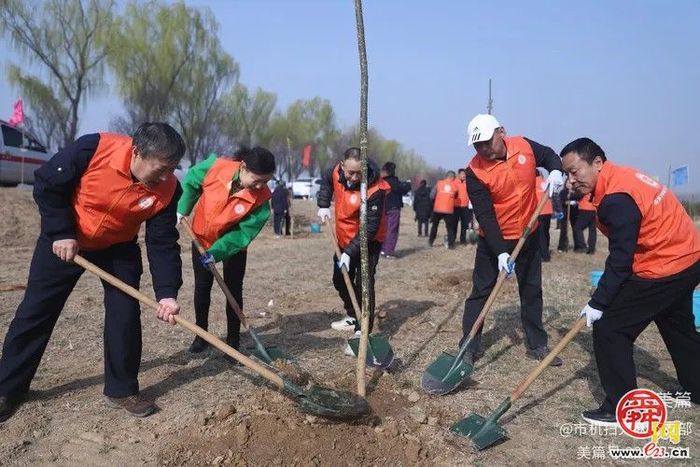 植绿护绿·共筑美好家园  济南市机械化清扫大队组织开展义务植树活动