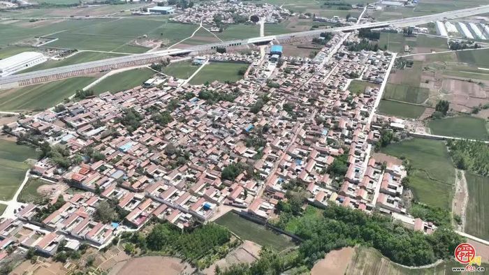 官庄街道：一名80后“兵支书”的“美丽乡愁”