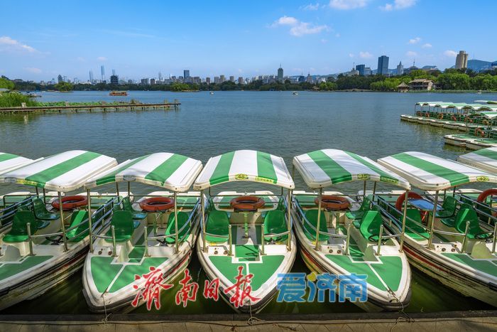 一年四季 泉在济南丨泉城消夏图鉴：大明湖成市民游客纳凉赏景“心头好”
