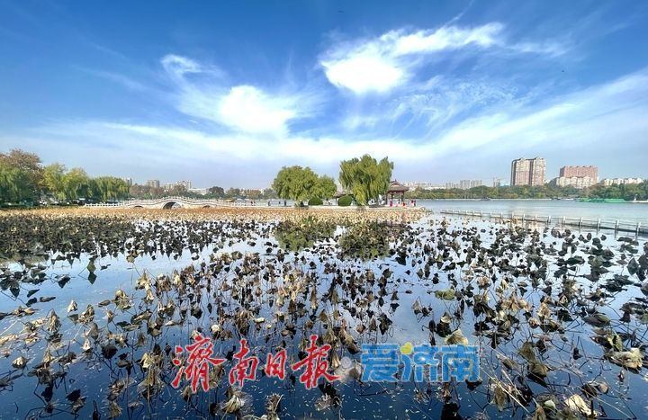 一年四季 泉在济南丨冬日暖阳上线 碧水蓝天绘就诗意画卷