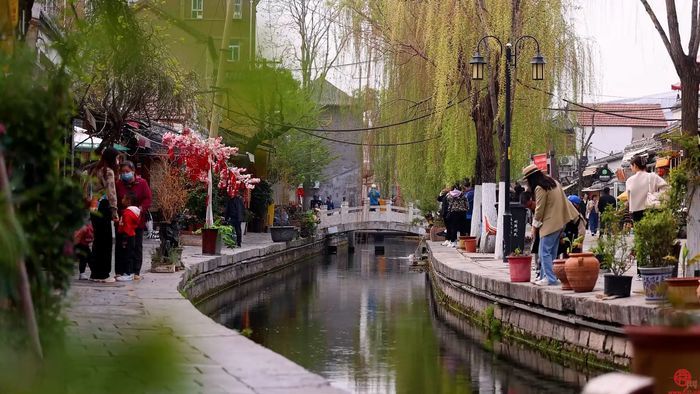 “泉”在济南过五一丨全国优秀导游带你游泉城