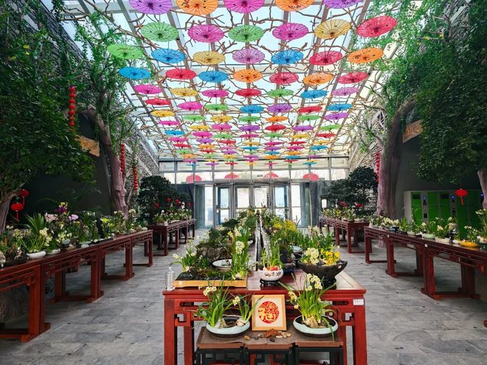 集合400余件水仙雕刻艺术精品！济南这场艺术展开展，将持续至正月初七