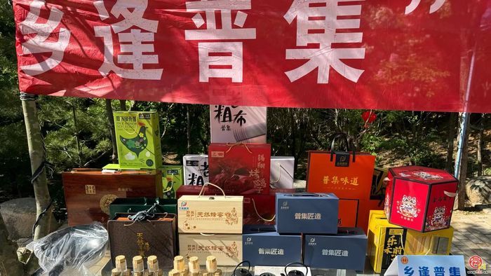 章丘普集街道第三届西山樱桃采摘节开幕啦！