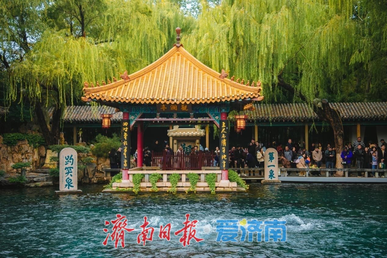 济南市第47届趵突泉金秋菊展将于10月24日盛装启幕