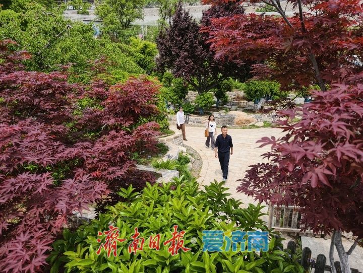 “空壳村”变身空谷花园 乡村文旅铺就振兴路