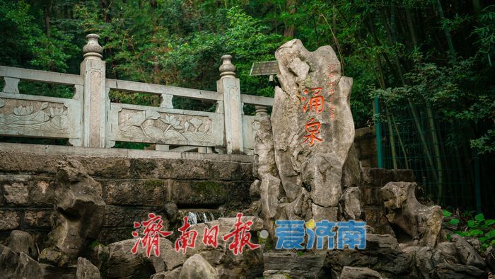 一年四季 泉在济南丨涌泉竹林景区泉竹相依，市民山间赏泉纳凉的好去处