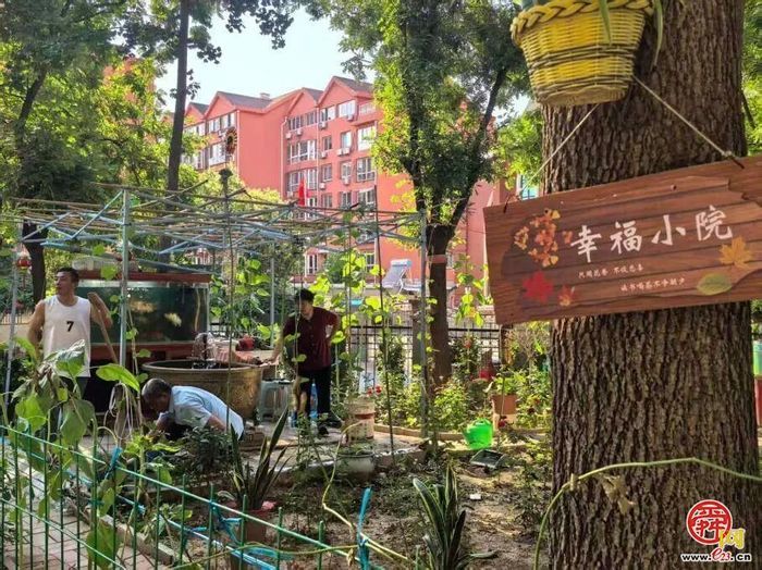 边角荒地变成邻里后花园，槐荫区德裕家园第一社区微治理“变形记”