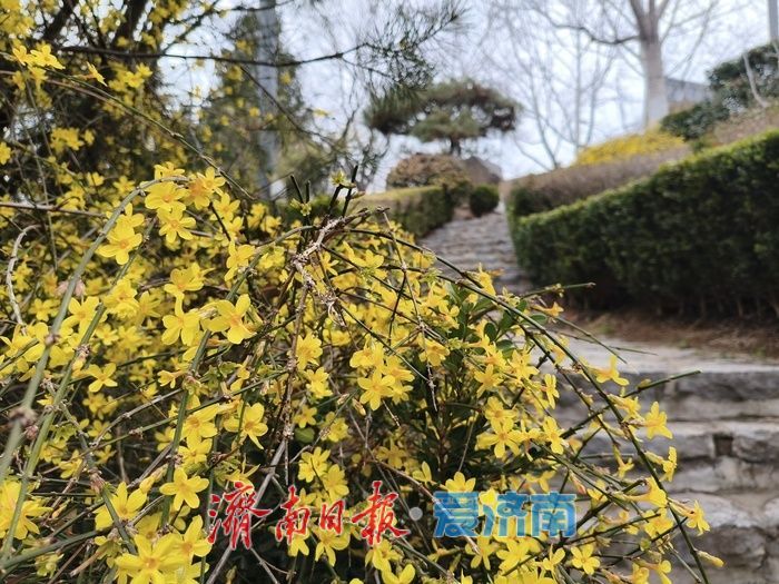 春风拂绿历阳湖 泉城醉美入画来