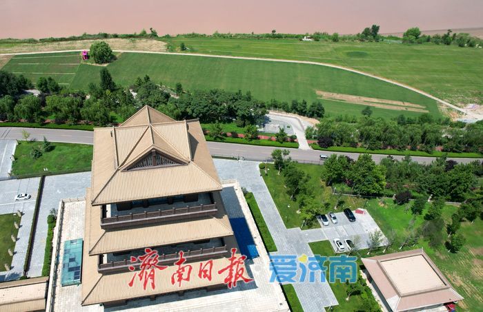 黄河生态廊道铺就生态绿毯 济南岸线景观持续提质