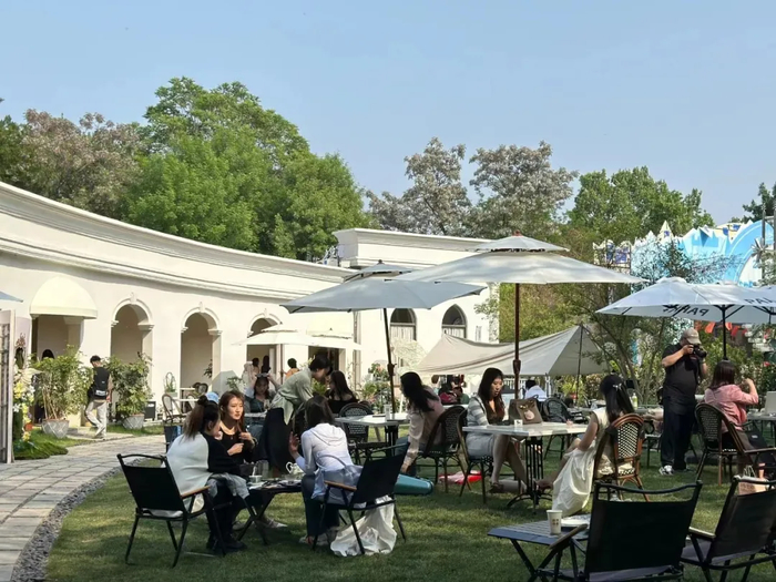 野餐、派对、音乐会……来济南吧，享受“草坪自由”