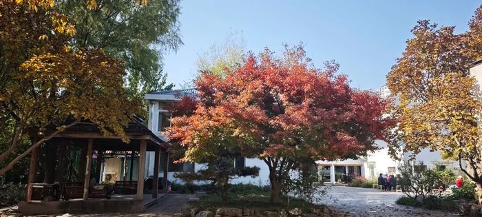 这份秋色图鉴，带您打卡藏在公园里的济南秋景